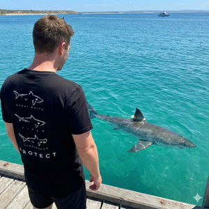 Descend Protect Our Sharks Tee